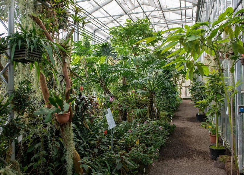 Botanical Garden of the University of Ulm, Germany